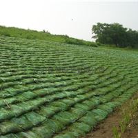 河流边坡防护生态袋，河道绿化护坡生态袋-草籽型植生袋